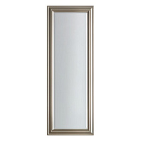 5056315999527 spogulis Hendrix Long šampanietis W460 x H1300mm GL