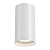 C052CL-01W RU Focus S gaismeklis balts 1x50W GU10 Maytoni
