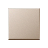 A590 CH Taustiņš slēdzim šampan.krāsā JUNG