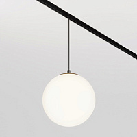 TR039-2-5W4K-1 gaismeklis sliedei Exility LED balts 330lm 5W 4000K 48V Maytoni