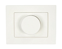 Gaismas reg.LED 1-100W balts XP500