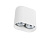9387 Griestu lampa PAG  balta 110x100x60mm, 2x35W GU10