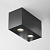 C017CL-02B Spot gaismeklis melns 2x50W GU10