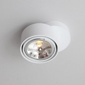 7024/GU10/BI Spot lampa balta 1x15W GU10 Shilo