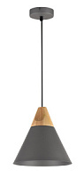 P359-PL-220-C Griestu lampa pelēka1x60W E27 D22 Maytoni