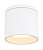 32063W Griestu lampa balta 11W GX53 IP44 GLO