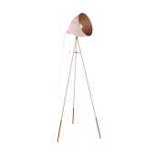 49039 Stāvlampa CHESTER-P 1x60W E27 EGLO