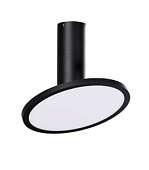 P384610N Morgan 3846/19 griestu lampa melna, D195mm,  LED 1x18W 3000K 1600lm