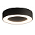 9514 MERIDA Plafons grafits D20cm 12W LED 538lm 3000K CRI110° NW