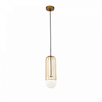 P361PL-01G Griestu lampa zelta 1x25W G9 Maytoni