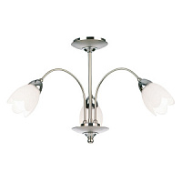 124-3 plafons Petal hroms/stikls 3 x 40W E14 Endon