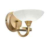 CAGNEY-1WBAB sienas lampa Cagney bronza/stikls 33W G9 Endon