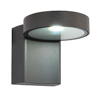 67695 āra sienas lampa Oreti antracīta LED 850lm 4000K IP44 Saxby