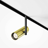 TR005-4-12W-DS-BBS Prožektors sliedei melns/zelta 12W 987lm Bluetooth cct Maytoni