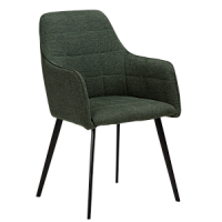100801603 krēsls Embrace zaļš/melnas kājas Dan-Form