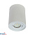 C23-DLO-AR-GU10-150-WH gaismeklis balts GU10 1x50W