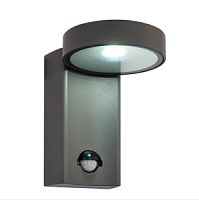 67696 āra sienas lampa ar sensoru Oreti antracīta LED 850lm 4000K IP44 Saxby