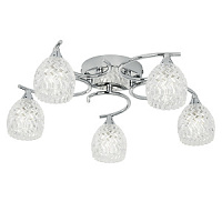 BOYER-5CH plafons Boyes hroms/stikls 5 x 33W G9  Endon